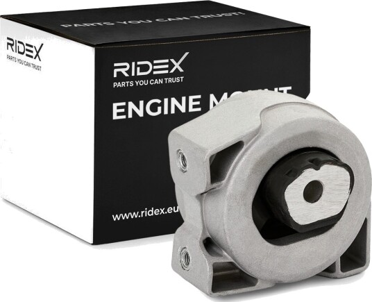 RIDEX 247E1256 Motorfeste