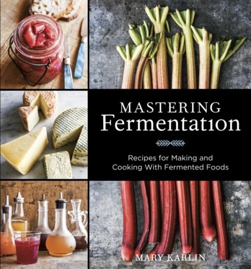 Mastering Fermentation Av Mary Karlin