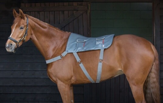EQUILIBRIUM - Massage Therapy Pad For Hest - Standard