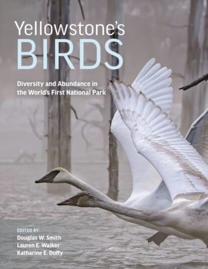 Yellowstone¿s Birds