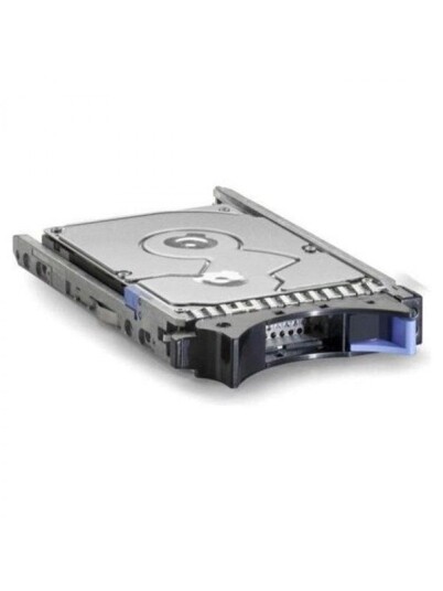 IBM 600GB 2.5" Harddisk SAS 10000 RPM til Intern Bruk