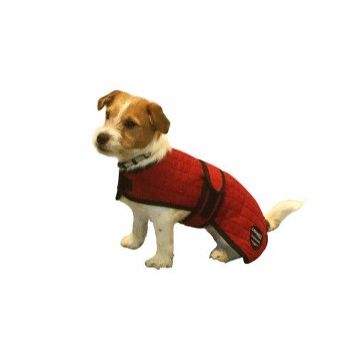 Catago Cooler hundedekken 70 cm