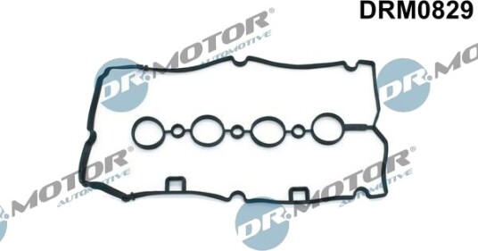 DR.MOTOR AUTOMOTIVE DRM0829 Tetning, topplokkdeksel