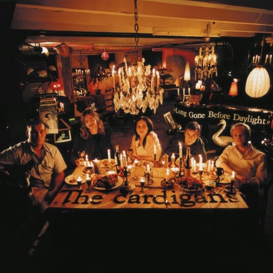 The Cardigans  Long Gone Before Daylight  LP/Vinyl