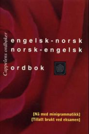 Engelsk-norsk/norsk-engelsk ordbok Pent brukt bok