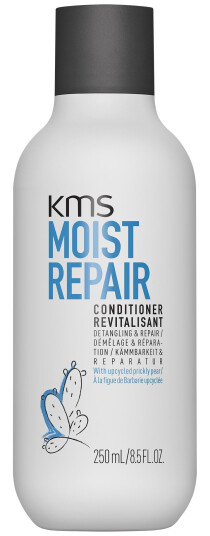 KMS MoistRepair START Conditioner 250 ml