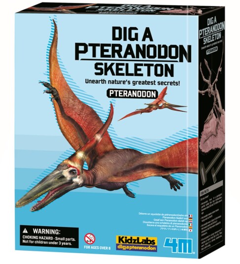 4M Udgrav Et Pteranodon-Skelet