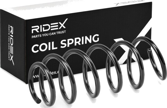 RIDEX 188C1379 Fjær