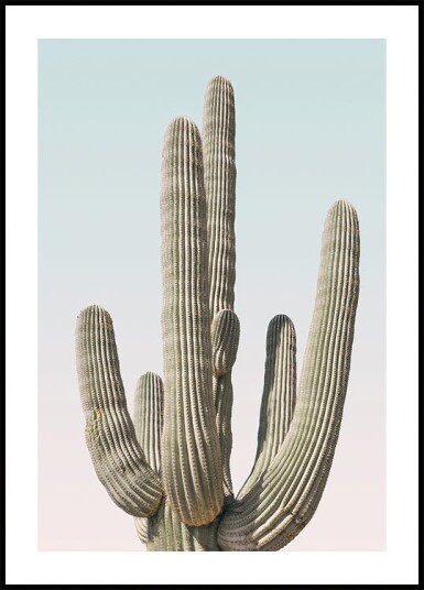 Kathrin Pienaar Saguaro Plakat / 21x30cm Kathrin Pienaar Saguaro Plakat / 21x30cm