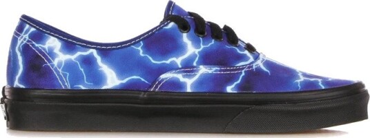 Vans Herre Sko Blå 42 EU,