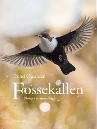 Fossekallen Av Trond Øigarden Fossekallen Av Trond Øigarden