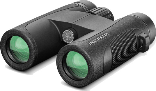 Hawke Endurance ED 8x32 Sort