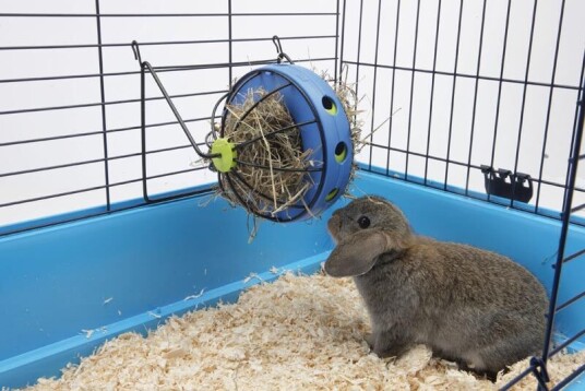 Savic Matbeholder Bunny