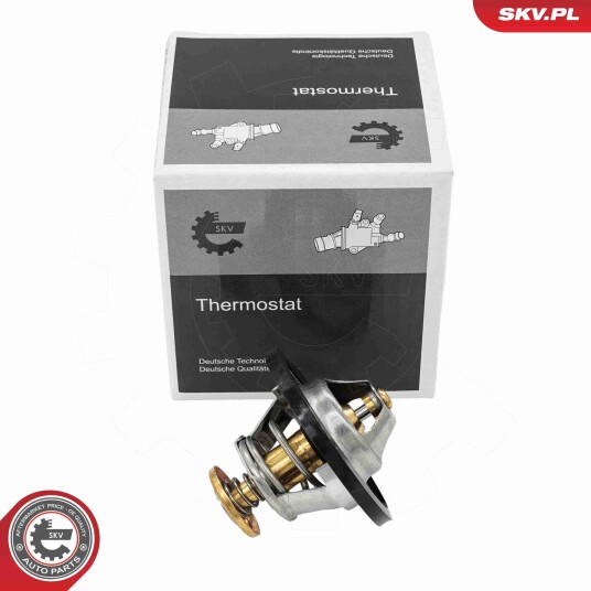 Termostat ESEN SKV 20SKV255