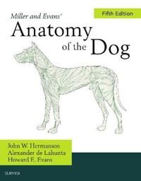 Miller'S Anatomy Of The Dog Av John W. Hermanson, Alexander De Lahunta
