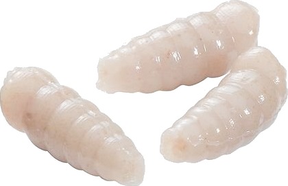 Berkley Gulp Powerbait Maggot