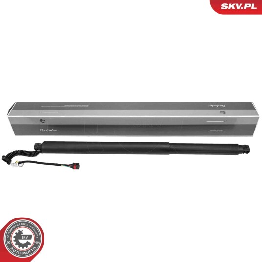 Elektromotor bakluke ESEN SKV 52SKV238