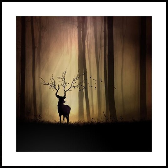 legendes d"automne Poster Plakat / 50x50cm legendes d"automne Poster Plakat / 50x50cm