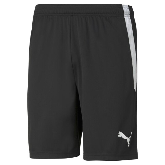 Puma Teamliga Shorts Jr 03 Puma Black-Puma White 164