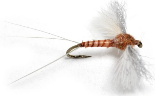 Umpqua Flies Cdc Biot Spinner Rusty