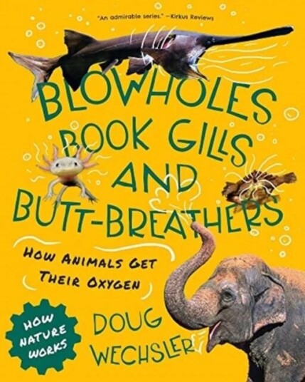 Blowholes, Book Gills, And Butt-Breathers Av Doug Wechsler