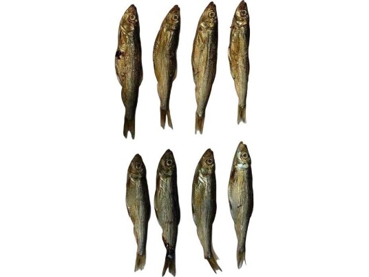 Arami Arami 200G Tørket Baltic Spratc Arami Arami 200G Tørket Baltic Spratc