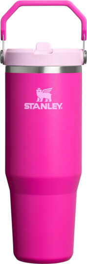 Stanley Iceflow Flip Straw
