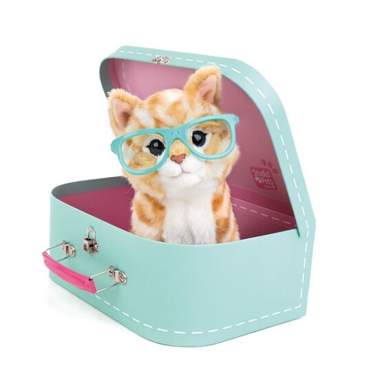 Studio Pets Plysj Rayben 23 Cm