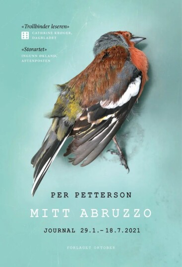 Mitt Abruzzo Av Per Petterson