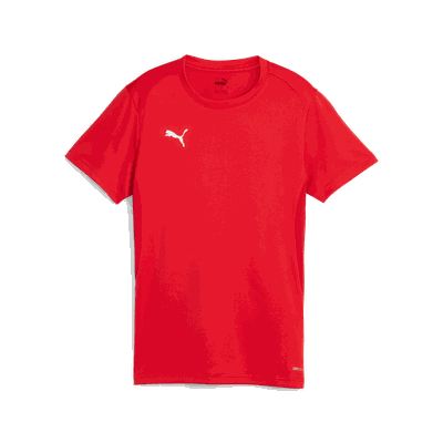 Puma teamGOAL Jersey treningstrøye dame Red XL