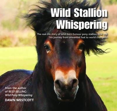 Wild Stallion Whispering Av Dawn Westcott