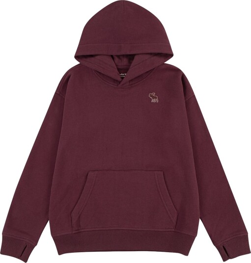 Abercrombie & Fitch Hettegenser Fig Abercrombie & Fitch 9 10 år 134 140 Hettegenser Lilla Rød