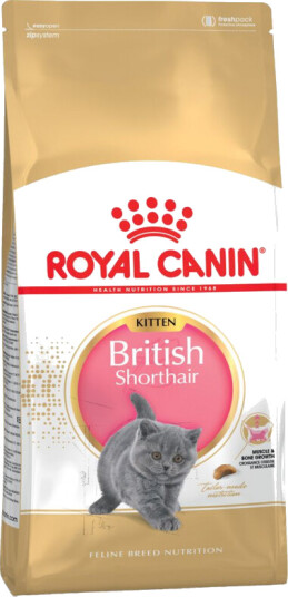 Royal Canin Kattemat til Kattunge Britisk Korthår 2 kg - Tørrfôr med Antioksidanter