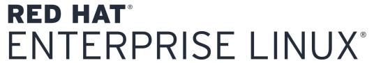 Hewlett Packard Enterprise Red Hat Enterprise Linux - premiumabonnement - 2 gjester (G3J31AAE)