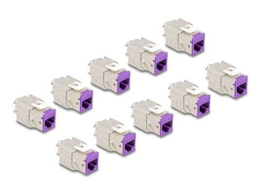 Delock Keystone Module Rj 45 Hunn Til Lsa Hunn Stp Cat 6A Fiolett En Pakke 10 88121