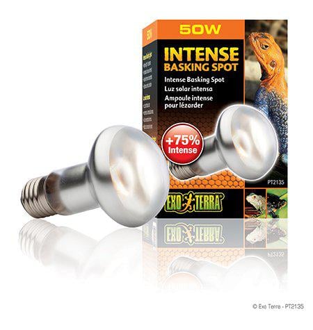 Exoterra Intense Basking Spot 50W S20 E27 Orange (220.2450) Exoterra Intense Basking Spot 50W S20 E27 Orange (220.2450)