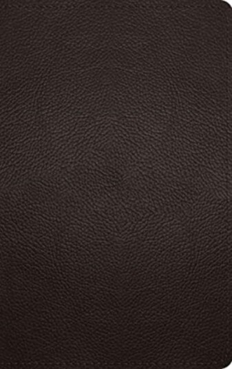 ESV Thinline Bible