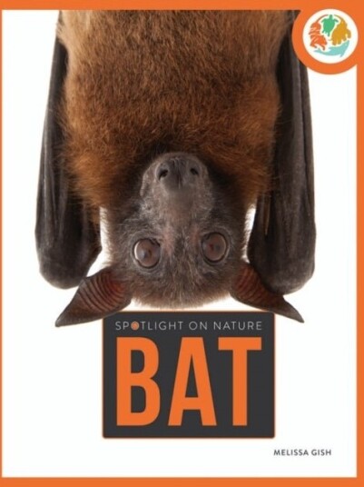 Spotlight on Nature: Bat Spotlight on Nature: Bat