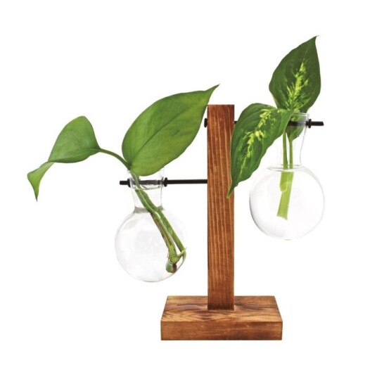 Winkee Hydro Vases Lilly Vase Winkee Hydro Vases Lilly Vase