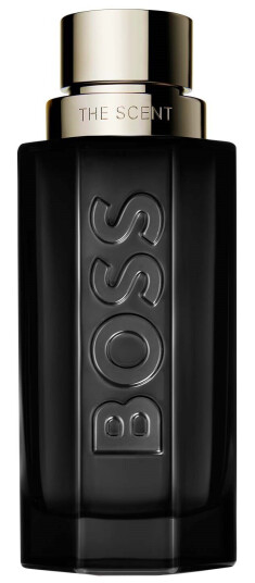 Hugo Boss The Scent Magnetic Eau de Parfum 100 ml for Men