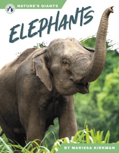 Elephants Elephants