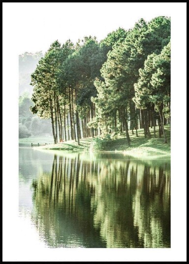 Green Summer Lake Plakat Plakat / 40x50cm