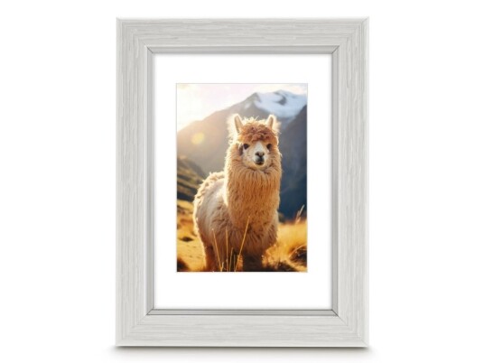 Hama Plastramme Lima Hvit 15 X 20 Cm 00193325