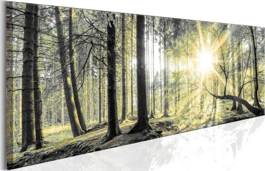 Tavla Morning Forest VALUE_MISSING_2 120x40