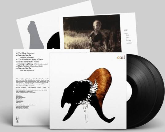 Black Antlers