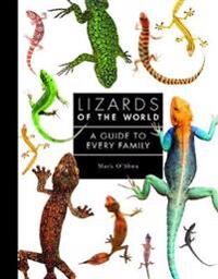 Lizards Of The World Av Mark O'Shea