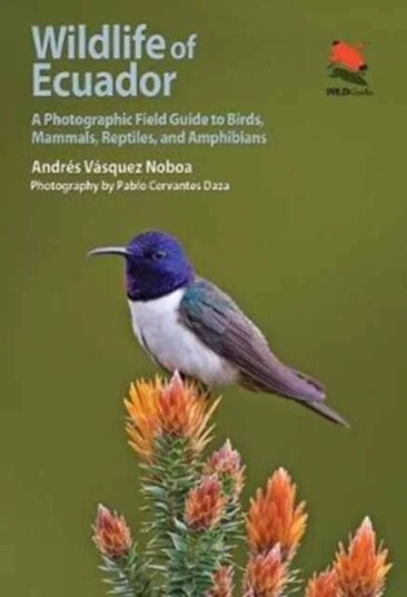 Wildlife Of Ecuador Av Andres Vasquez Noboa