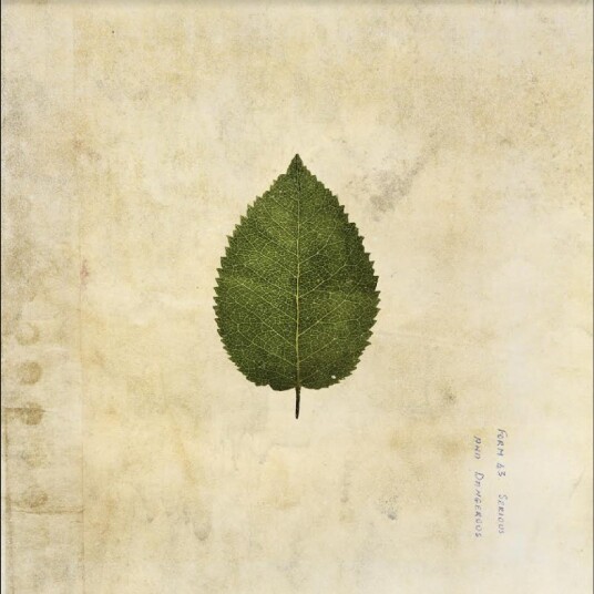 The Boxer Rebellion  The Cold Still  LP/Vinyl