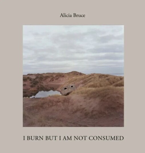I Burn But Am Not Consumed Av Alicia Bruce