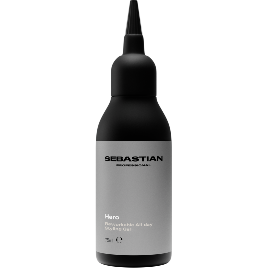 Sebastian Professional Styling and texture Hero Reworkable All day Sty